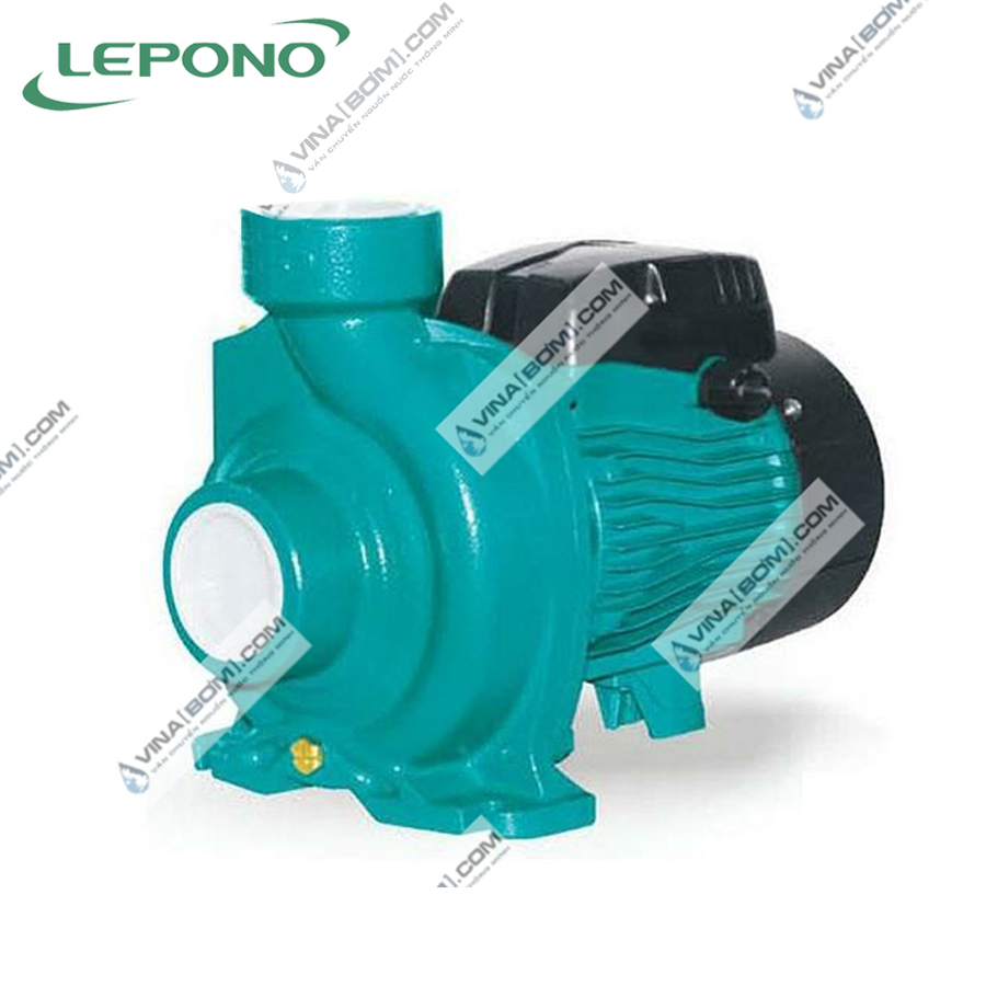 Máy bơm nước ly tâm lưu lượng Lepono ACM 150B3 (1.5 kw - 2 hp) 6