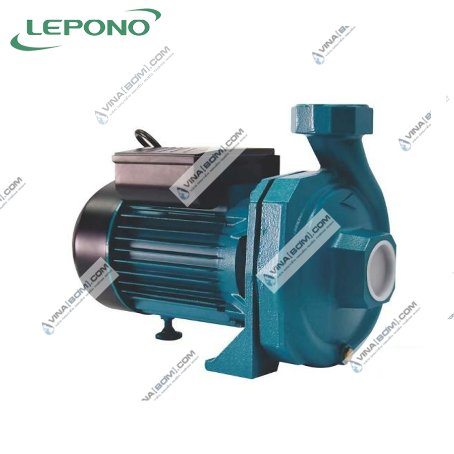 Máy bơm nước ly tâm lưu lượng Lepono XS 80 (2.2 kw - 3 hp) 2