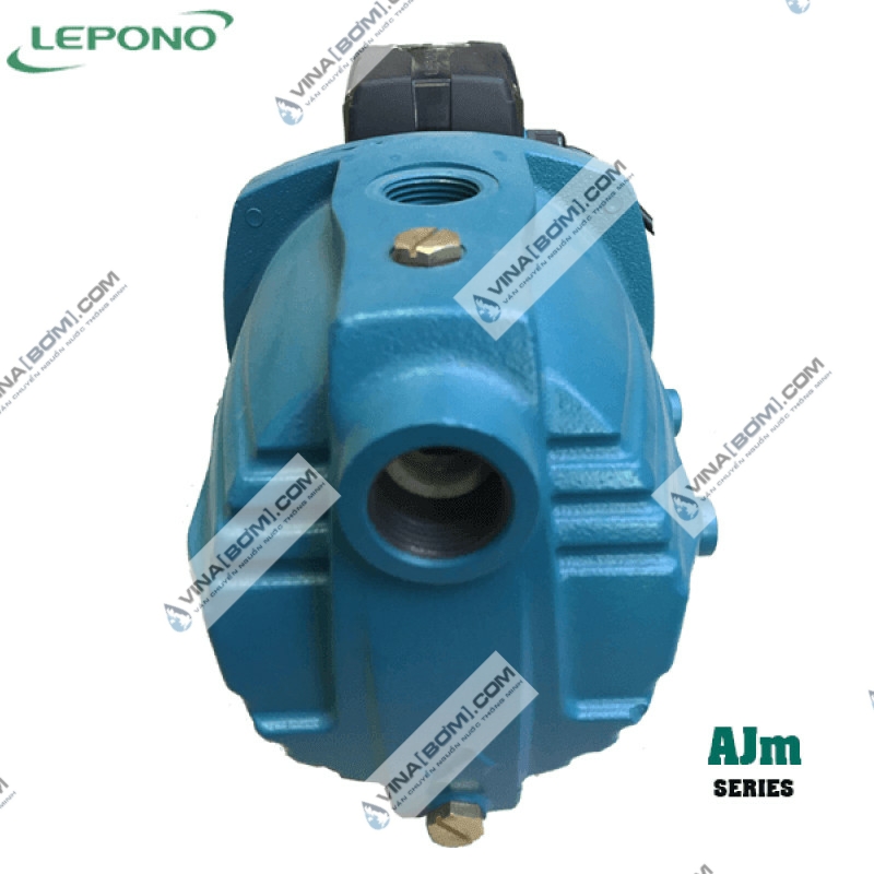 Máy bơm bán chân không Lepono AJm-110L (1.1 kw) 2
