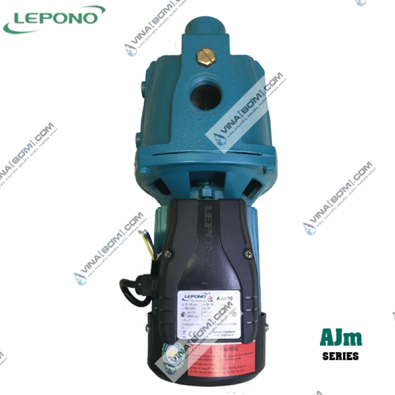 Máy bơm bán chân không Lepono AJm-75 (0.75 kw) 4