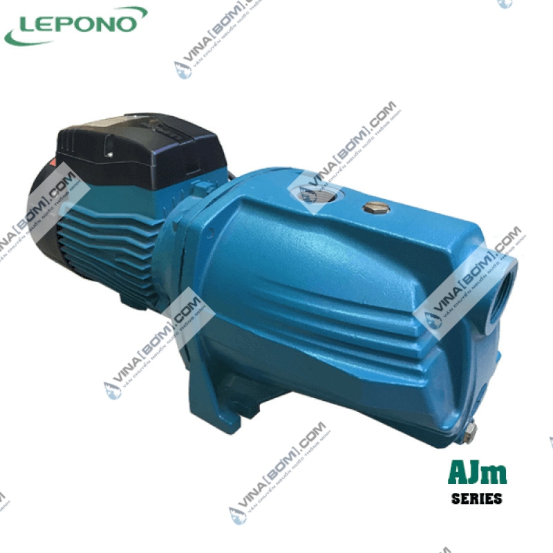 Máy bơm bán chân không Lepono AJm-150L (1.5 kw) 2