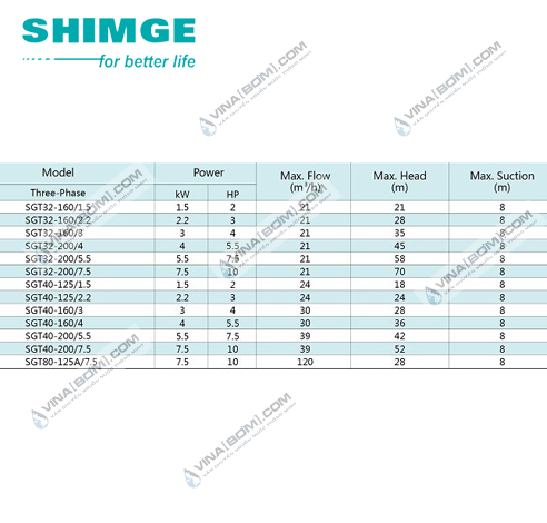 Máy bơm ly tâm mặt bích Shimge SGT 40-160/5.5 (5.5kw-7.5hp) 4